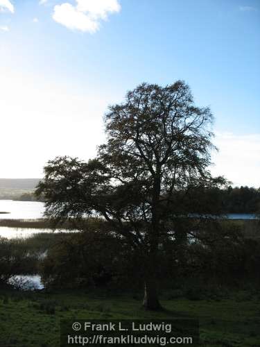 Lough Arrow